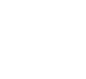 Limited Item 03