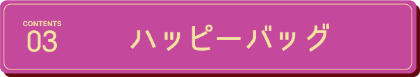 ハッピーバッグ