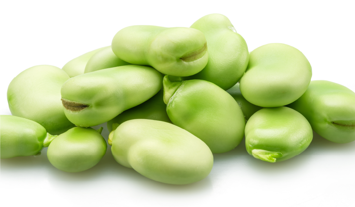 大袋そら豆 ￥300（税込）［限定100袋］［3/23（月）のみ］