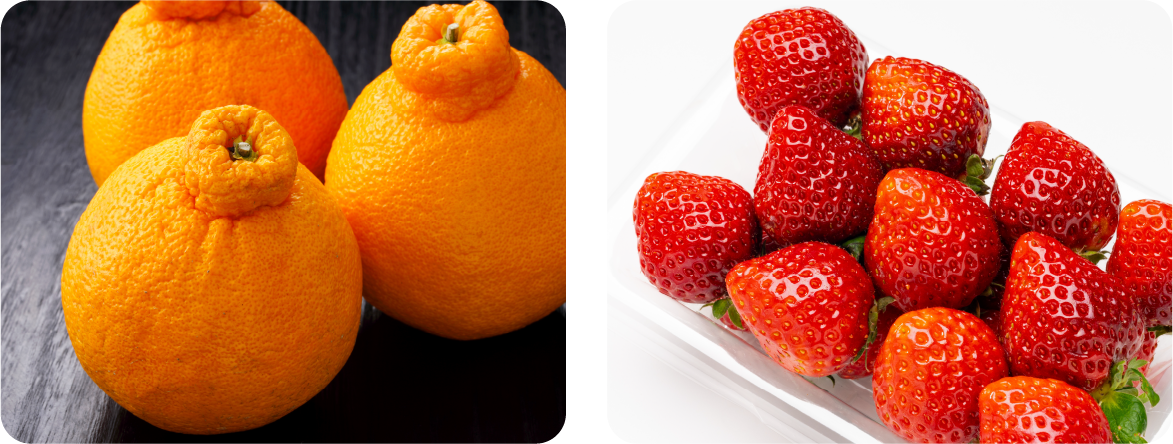 01:愛媛県産他 デコポン 5個 02:フルーツハッピーバッグ 03:いちご 2パック