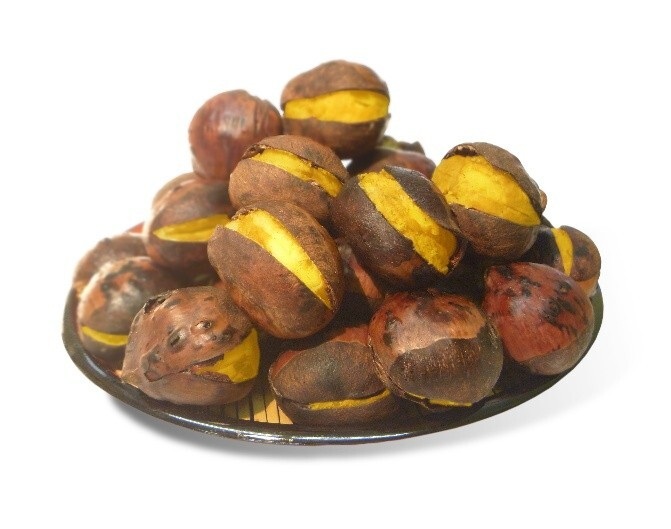 『京丹波』がシャポー市川に出店!