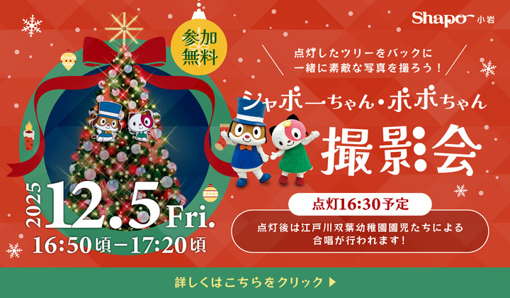 2025年12月5日シャポーちゃんポポちゃん撮影会