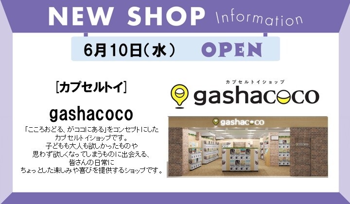 gashacoco OPEN!