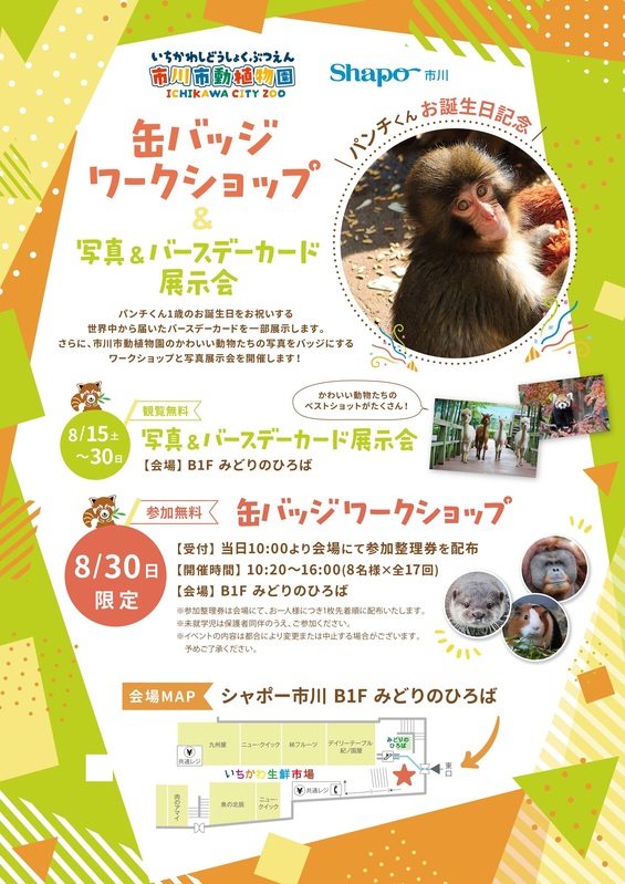 【市川市動植物園】缶バッジワークショップ&写真・バースデーカード展示!